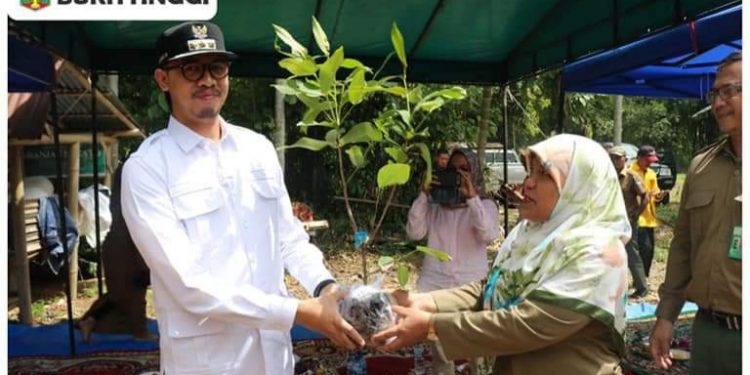 20.000 Bibit Jambu Madu Diserahkan, Wako Erman Syafar : Tingkatkan Ekonomi Masyarakat Pertanian