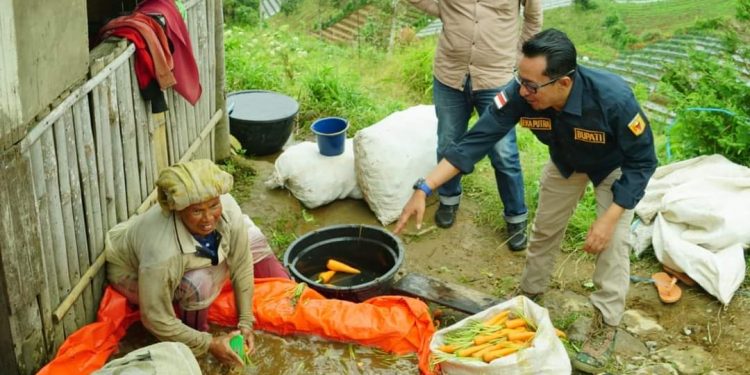 Bupati Tanah Datar Eka Putra Puncak Sikadunduang Luar Biasa