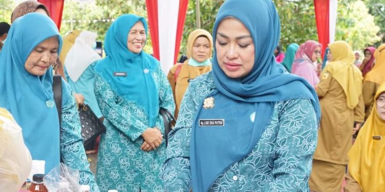 Enam Besar, Tim Provinsi Klarifikasi Posyandu Mawar Jorong Saruaso Timur