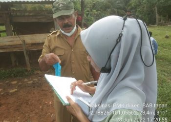 46 Ekor Sapi Sembuh Penyakit PMK di Pesisir Selatan