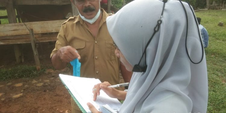 46 Ekor Sapi Sembuh Penyakit PMK di Pesisir Selatan