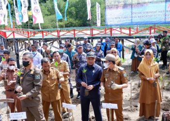 Wabup Pessel Apresiasi Lantamal II Tanam Mangrove di Pantai Majunto