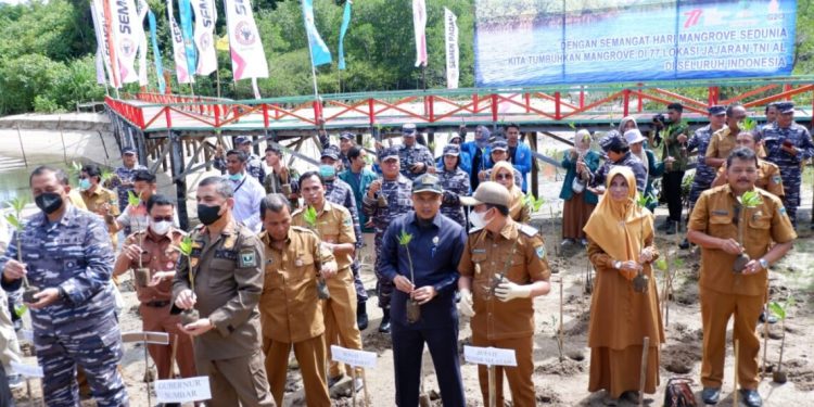 Wabup Pessel Apresiasi Lantamal II Tanam Mangrove di Pantai Majunto
