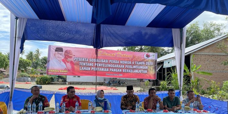 Anggota Komisi II DPRD Sumbar Syamsul Bahri: Lestarikan Lahan Pertanian untuk Masa Depan