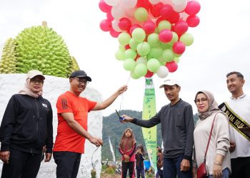 Bupati Khairunas Buka Festival Durian Solok Selatan 2022