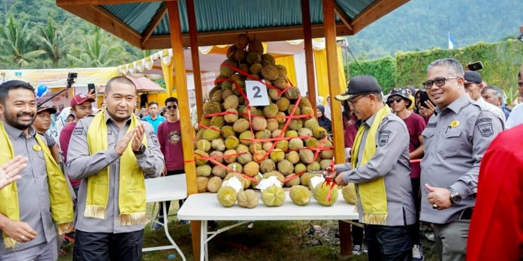 Wagub Sumbar Usulkan Festival Durian Solok Selatan Jadi Event Nasional