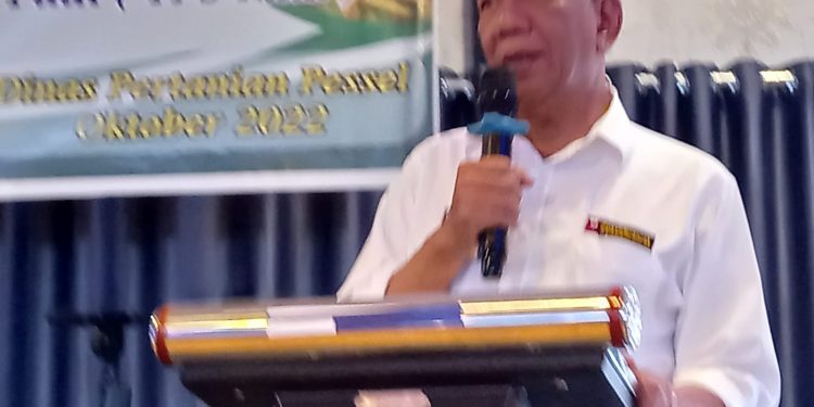 Bupati Pesisir Selatan Minta Penyuluh Kerja Sungguh- Sungguh untuk Kesejahteraan Petani