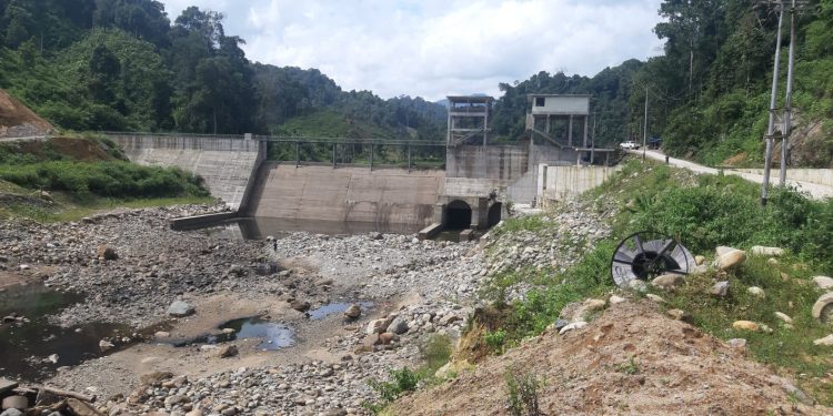 Tanpa Fishway, Bendung PLTMH PT Dempo Ancam Kelestarian Ikan Endemik Sungai Batang Pelangai Gadang